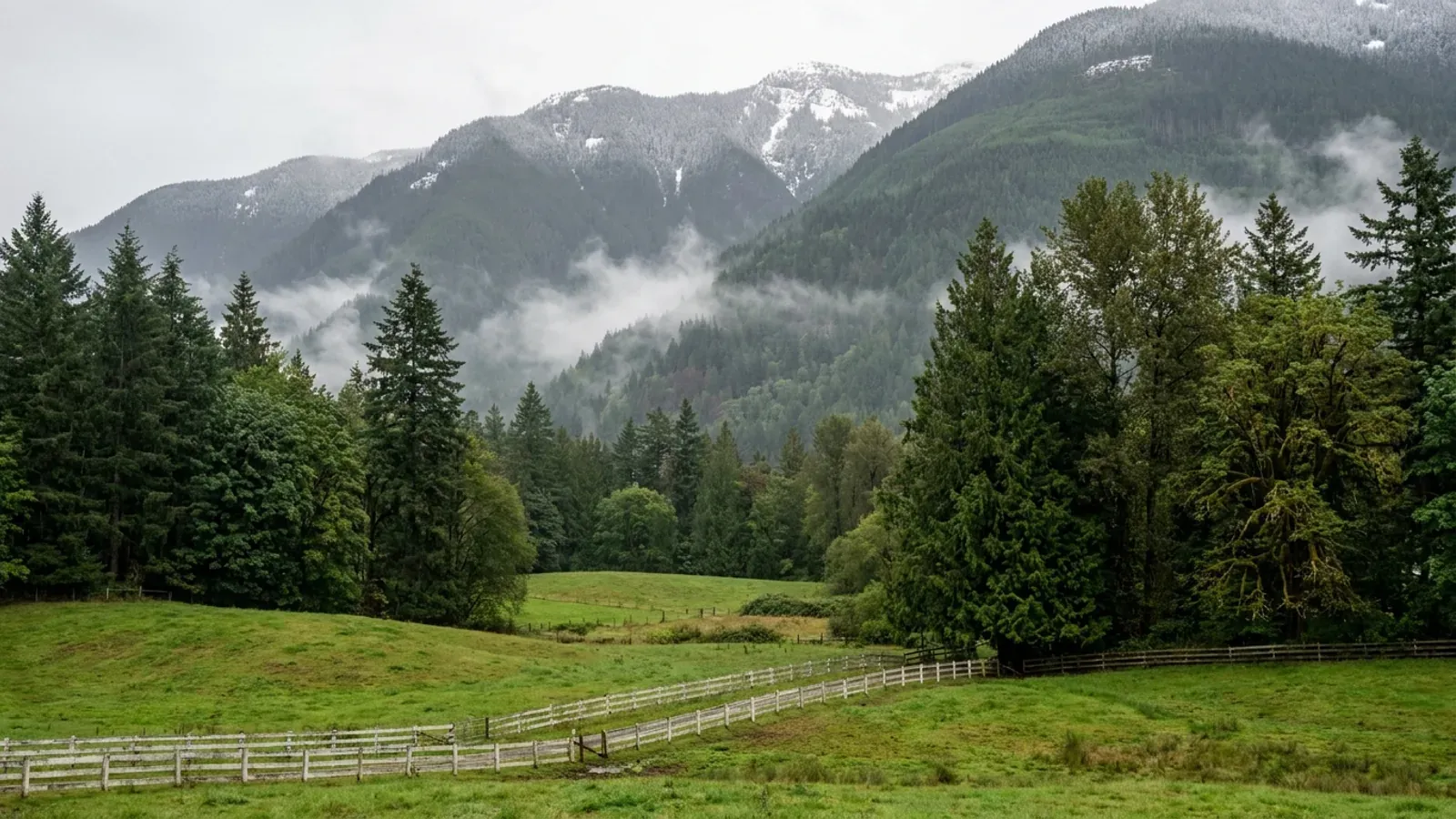 Green rolling pasture with a white board fence at the rural edge of Metro Vancouver, tall firs and cedars and steep forested mountains rising behind.