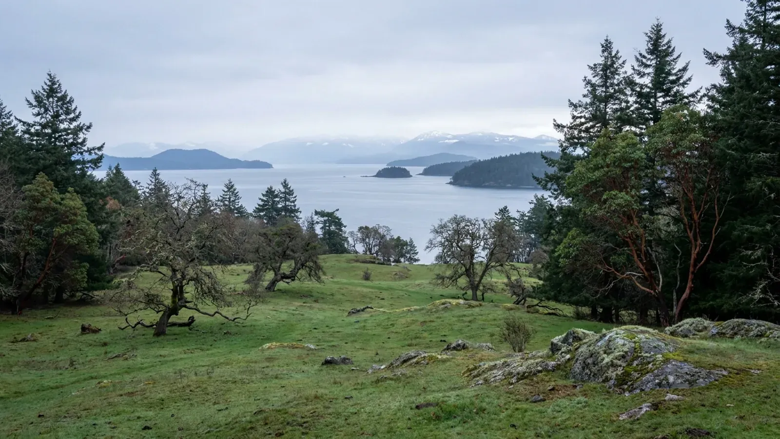 A Vancouver Island meadow with spreading oaks, mossy rock outcrops and firs, opening onto a calm ocean strait with forested islands and distant mountains.